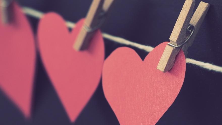 Partnervermittlung urteil