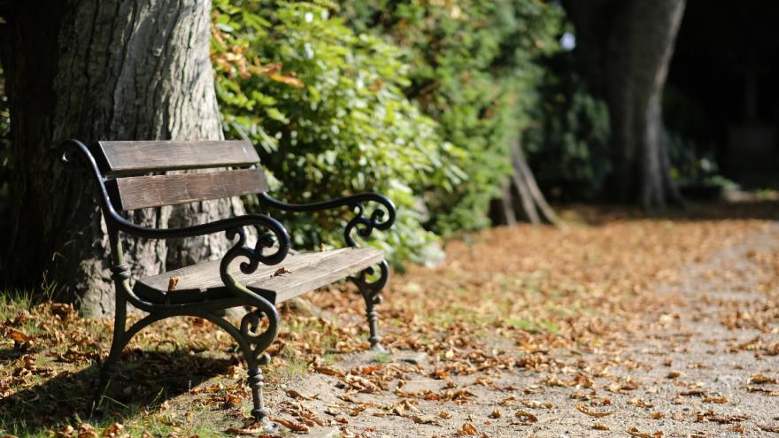 Eine leere Parkbank steht im Herbstlaub am Wegesrand