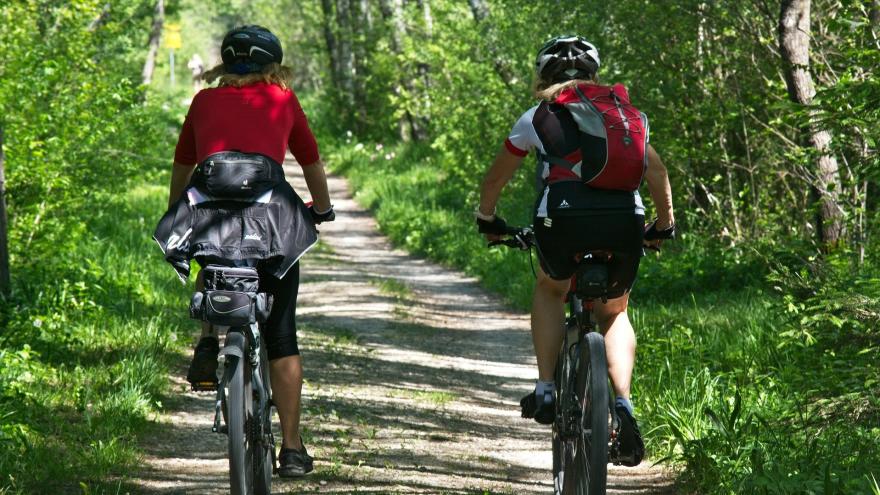 Radfahrer im Wald