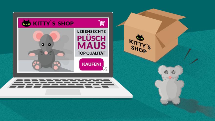 Weltverbrauchertag Grafiken Web_fakeshop