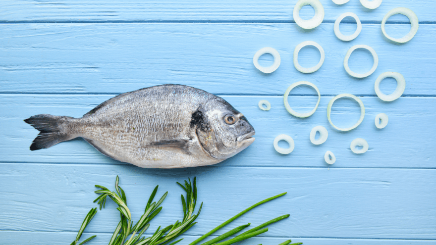 Dorade mit Luftblasen aus Zwiebelringen