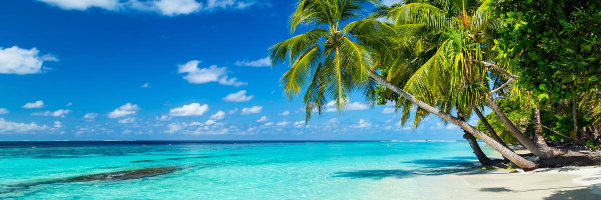 Strand mit Meer und Palmen