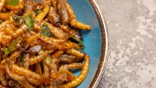 Insekten auf einem Teller