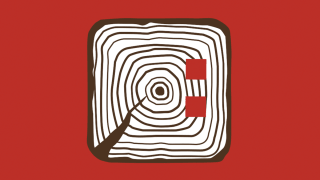 Illustration des Querschnitts eines quadratischen Baumstamms als Logo der App "App ins Holz"