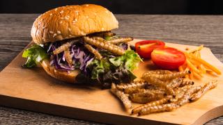 Insektenburger auf einem Holzbrett